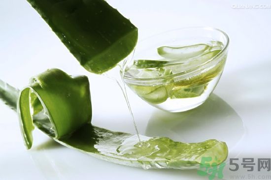 蘆薈酒有什么功效？蘆薈酒的功效是什么？