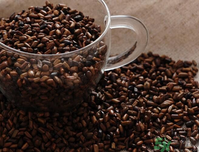 決明子泡茶喝可以減肥嗎？決明子泡茶喝有減肥效果嗎？