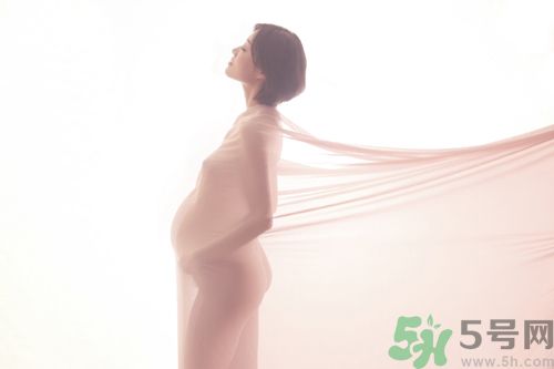 孕婦可以喝決明子茶通便嗎？孕婦通便可以喝決明子茶嗎？
