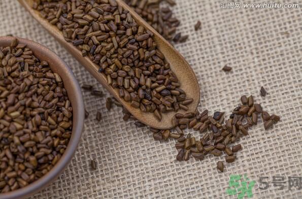 孕婦可以喝決明子茶通便嗎？孕婦通便可以喝決明子茶嗎？