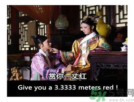 什么是蜀葵？蜀葵是一丈紅嗎？