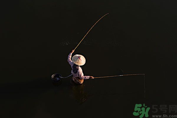 雷陣雨可以釣魚嗎？雷陣雨天氣適合釣魚嗎？
