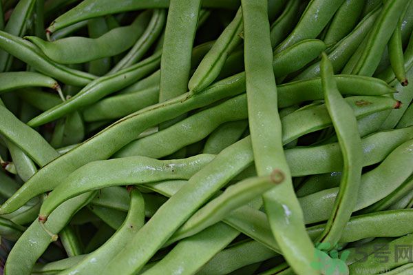 四季豆沒炒熟有毒嗎？四季豆沒熟吃了會怎樣？