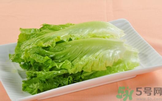 生菜會引起過敏嗎？吃生菜會過敏嗎？