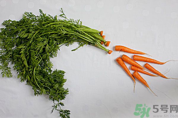 吃西瓜能防曬嗎？吃巧克力能紫外線嗎？