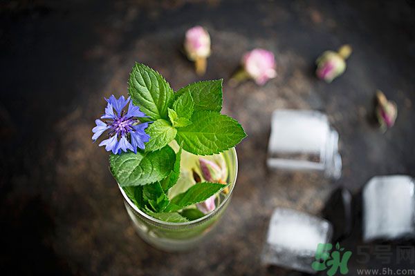 薄荷曬干泡茶有什么好處？薄荷曬干泡水的功效