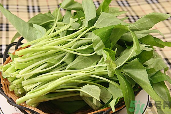 空心菜是菠菜嗎？空心菜是不是菠菜？