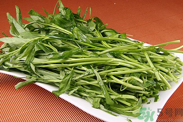 空心菜是菠菜嗎？空心菜是不是菠菜？