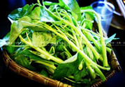 空心菜沒(méi)有炒熟能吃嗎?空心菜沒(méi)炒熟吃了會(huì)怎么樣