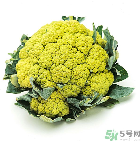 玉川和斯利安哪個好？葉酸片什么牌子最好？