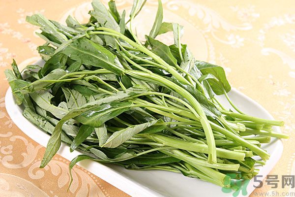 空心菜是菠菜嗎？空心菜是不是菠菜？