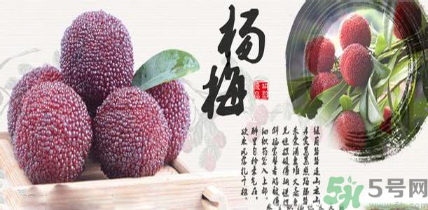 吃楊梅可以防止中暑嗎？中暑可以吃楊梅嗎？