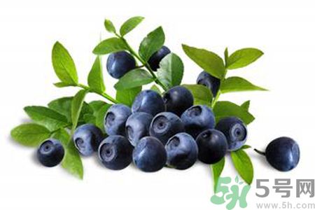 藍(lán)莓是熱性還是涼性？藍(lán)莓是涼性嗎？
