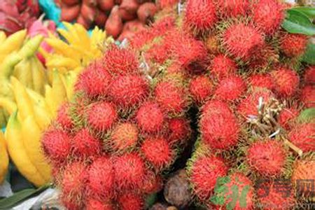 紅毛丹的殼可以吃嗎？紅毛丹的皮可以吃嗎？