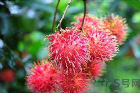 吃紅毛丹可以喝牛奶嗎？紅毛丹和牛奶可以一起吃嗎？