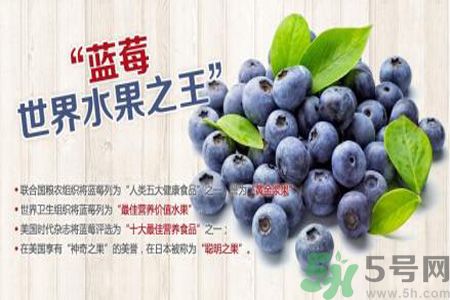 衣服上面染上了藍莓汁怎么辦？藍莓漬怎么清洗？