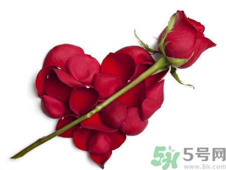 父親節(jié)送什么花好？父親節(jié)送什么花？