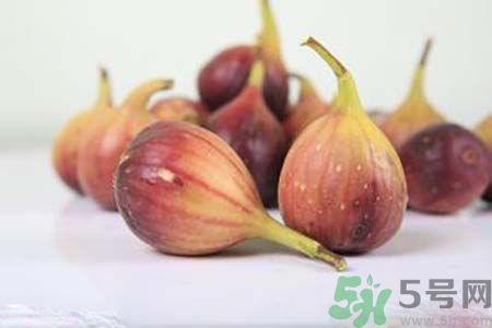 糖尿病可以吃無花果嗎？糖尿病吃無花果好嗎？