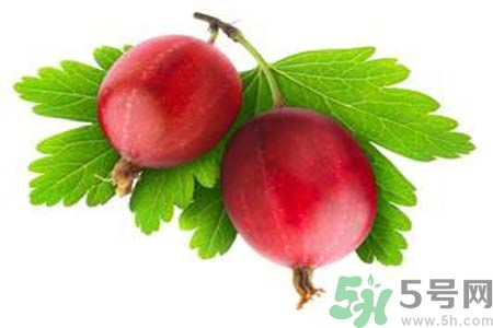 吃無花果可以美容嗎？無花果怎樣吃可以美容？
