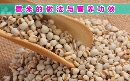 紅豆薏米茶的功效和作用 紅豆薏米茶不適合什么人群喝