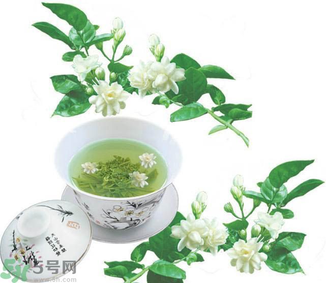 茉莉花茶可以減肥嗎？怎樣喝茉莉花茶可以減肥？