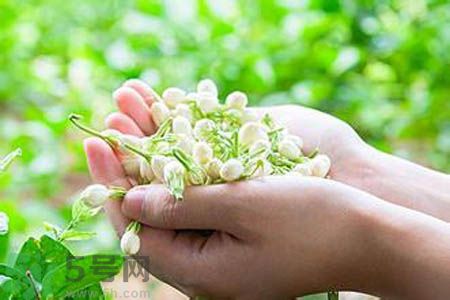 痛風可以喝茉莉花茶嗎？痛風喝茉莉花茶好嗎？
