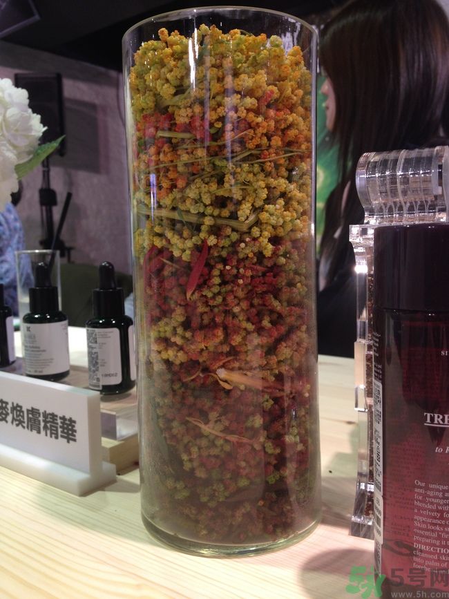 科顏氏藜麥煥膚精華怎么樣？科顏氏藜麥煥膚精華好用嗎