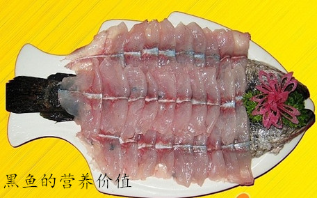 黑魚(yú)