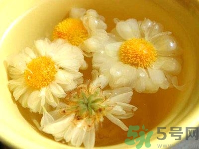 女生可以喝什么茶排毒養(yǎng)顏？女生喝什么茶可以美容？
