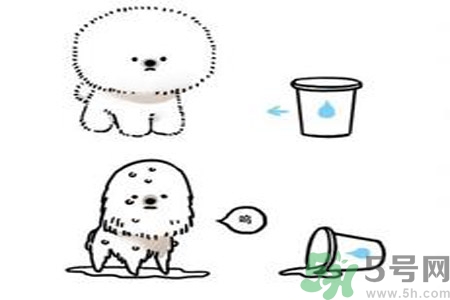 虛胖是什么原因？虛胖怎么辦？