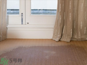 房間潮濕怎么辦？房間潮濕如何解決？
