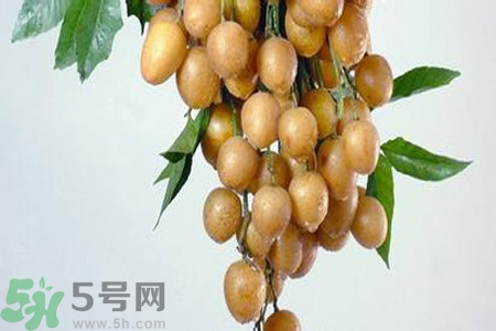 黃皮果是不是發(fā)物？黃皮果是發(fā)物嗎？