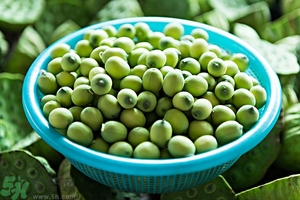 蓮子芯泡茶有什么功效？蓮子心的功效與作用