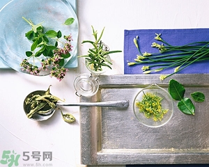 吃韭菜能減肥嗎？韭菜的功效與作用