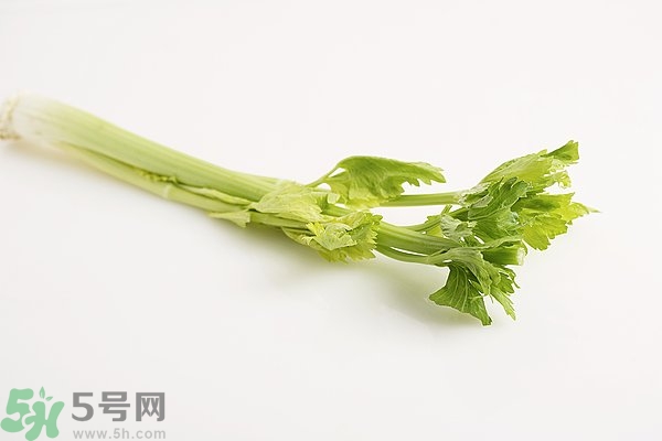 芹菜對精子有害嗎？芹菜對精子質(zhì)量有什么影響？
