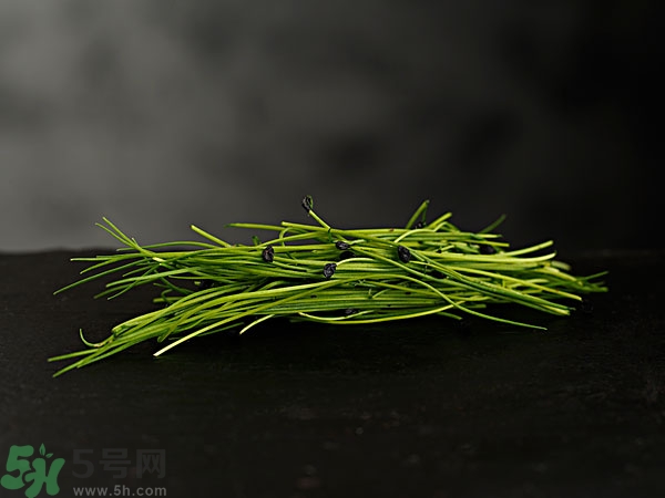吃韭菜會燒心嗎？吃韭菜燒心怎么辦？