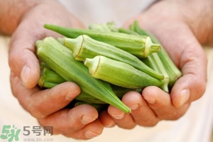 腎病可以吃秋葵嗎？腎病患者能吃秋葵嗎？