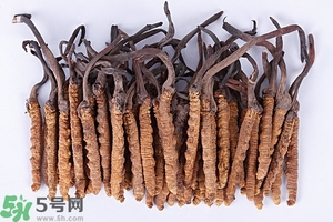 冬蟲夏草是怎么形成的？冬蟲夏草是蟲子嗎？