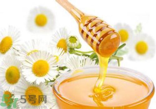 什么蜂蜜才是好蜂蜜？好壞蜂蜜的鑒別