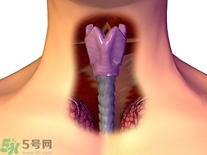 ?皰疹性咽峽炎有什么癥狀？寶寶?皰疹性咽峽炎癥狀