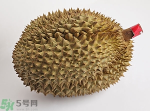 榴蓮沒開口可以吃嗎？榴蓮沒裂開能吃嗎？