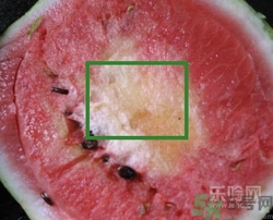 如何辨別催熟的西瓜？催熟的西瓜是什么樣的？