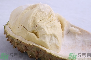 榴蓮能放冰箱嗎？榴蓮放在冰箱能保存幾天？