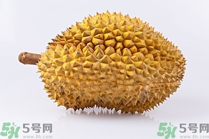 榴蓮能放冰箱嗎？榴蓮放在冰箱能保存幾天？