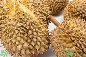 榴蓮能放冰箱嗎？榴蓮放在冰箱能保存幾天？