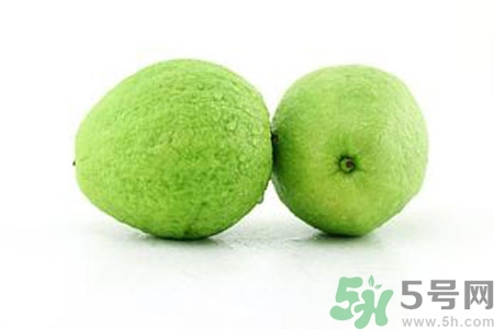 番石榴是熱性還是涼性？番石榴是涼性的嗎？