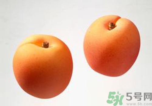 杏子是酸性還是堿性？杏子是酸性的嗎？