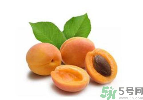 杏子上有黑點(diǎn)是怎么回事？杏子上有斑點(diǎn)可以吃嗎？