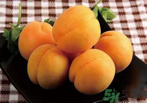 杏子皮可以吃嗎？吃杏子要剝皮嗎？