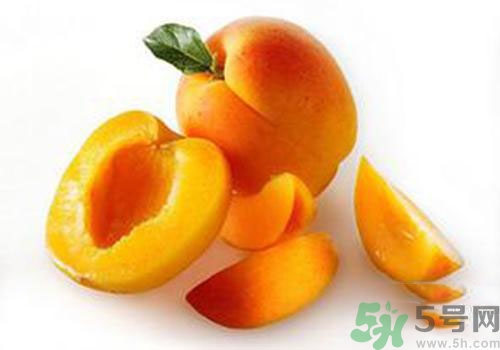 杏子有毒嗎？杏子吃了會(huì)中毒嗎？